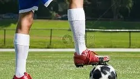 大湾区文化体育中心首届赛事圆满落幕