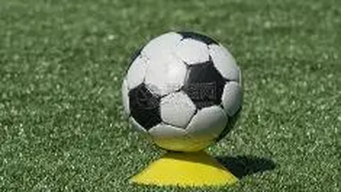 “挑选财经应用哪家强？中国财经应用排行榜前十名推荐”