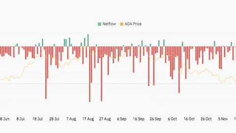 父亲观点：若能证实约维奇犯罪，监禁他亦无妨