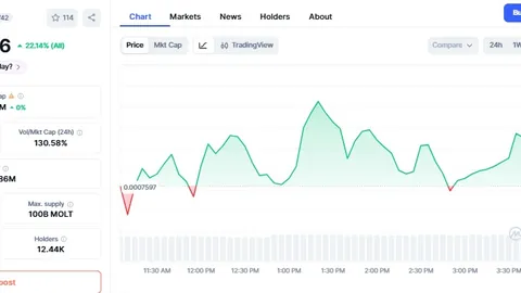 台媒透露阮经天宋祖儿已分道扬镳，女方先前否认恋情传闻
